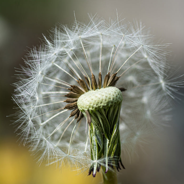 9017