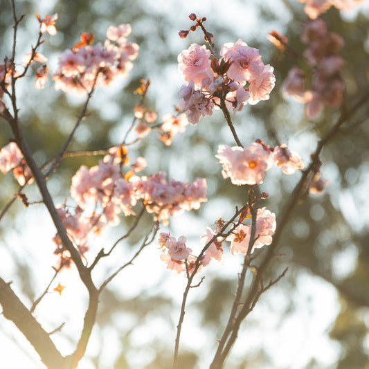 9025