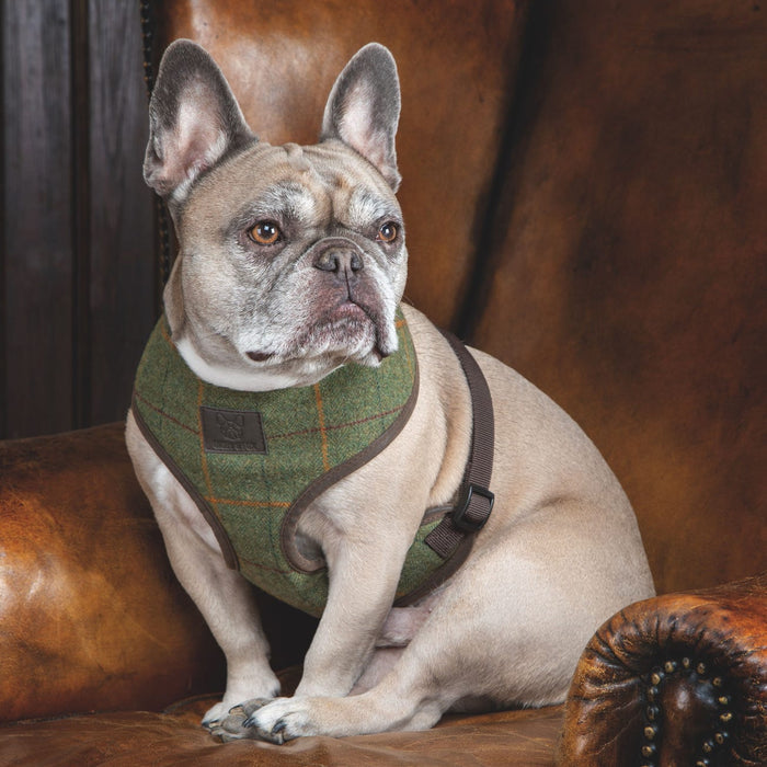 Digby & Fox Tweed Dog Harness