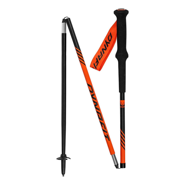 DYNAFIT ALPINE POLE