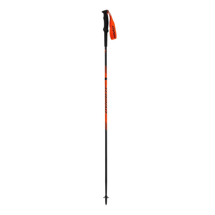 DYNAFIT ALPINE POLE