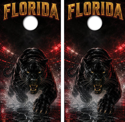 Florida Panthers Inspired Cornhole Design