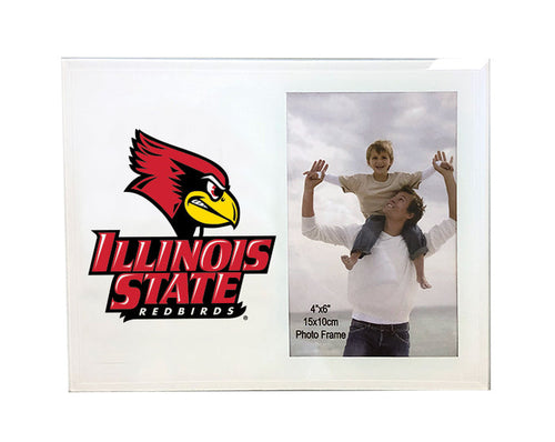 Illinois State Photo Frame - Secondary Logo