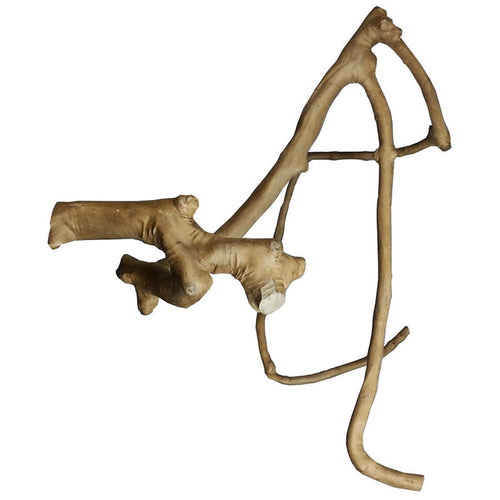 Java Wood Multi Branch Bird Perch