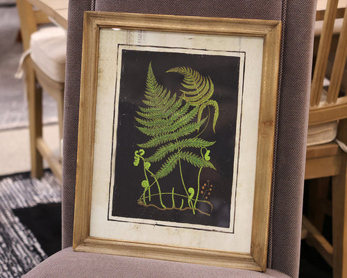 Matted Fern V Print in Wood Frame