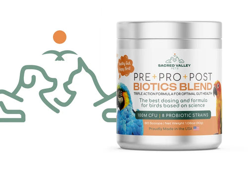 Organic Prebiotic, Probiotic, and Post Biotic Blend, 1.06 oz