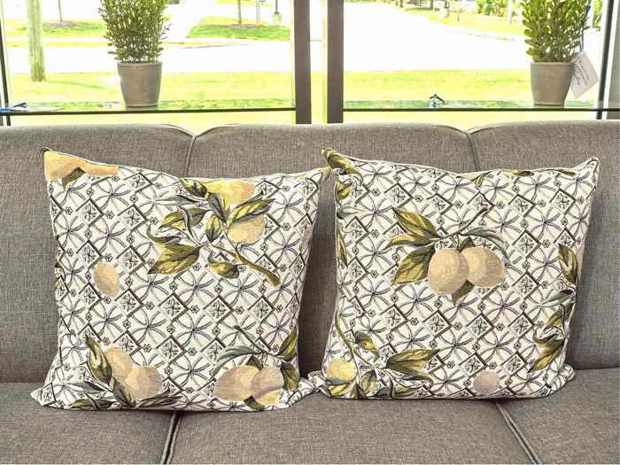 Pair Upholstered Lemon Accent Velvet Backing Accent Pillows