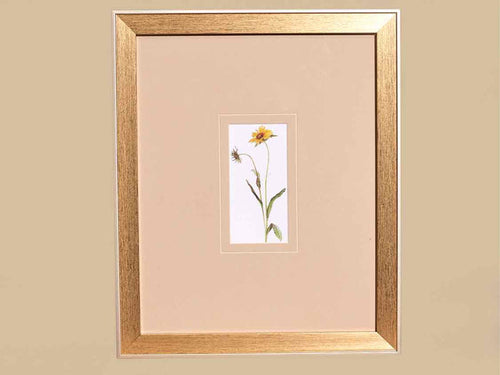 'Pretty Florals I' Framed Print 2/3