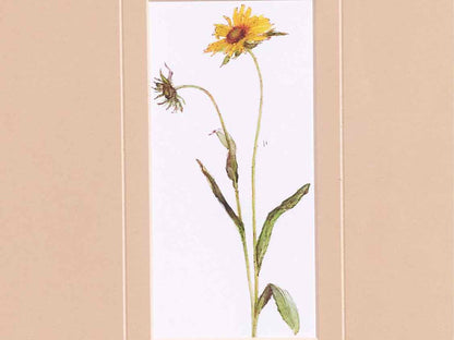 'Pretty Florals I' Framed Print 2/3