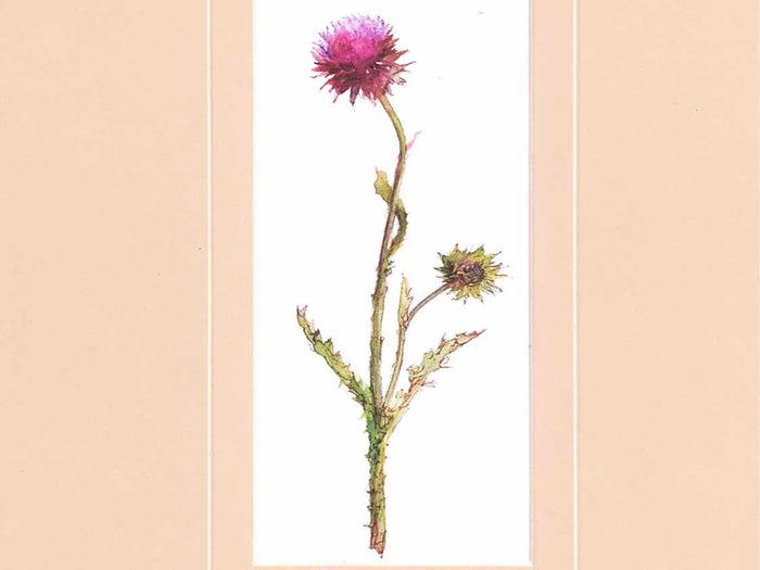 'Pretty Florals I' Framed Print 3/3