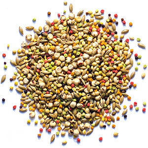 Zupreem Sensible Seed Bird Food for Small Birds 2 lb